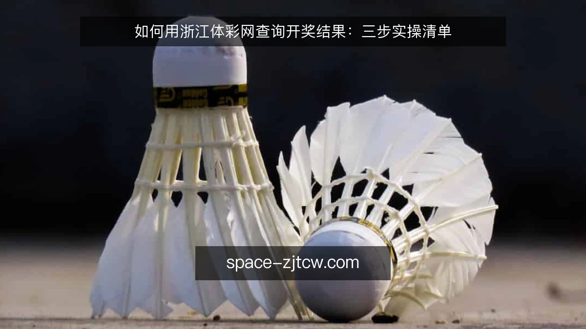 如何用浙江体彩网查询开奖结果:三步实操清单