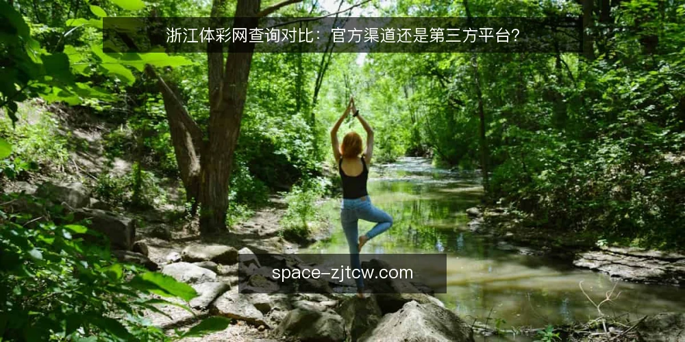 浙江体彩网查询对比：官方渠道还是第三方平台？ — 为什么会有官方与第三方渠道的差异？ 配图