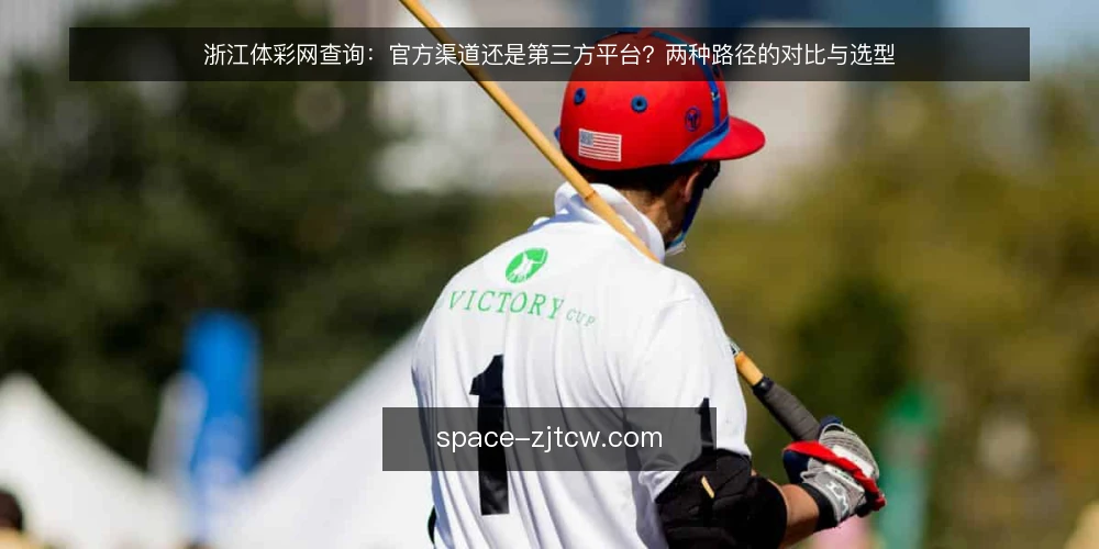 浙江体彩网查询:官方渠道还是第三方平台?两种路径的对比与选型 — 先定对比标准:查浙江体彩网到底在比什么 配图